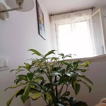 Casa Doina Airport Apartment Pisa
